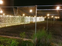 -Ohkajhu Organic Farm Sansai