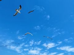 -海驴岛(荣成市)
