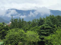 -国家植物园南园