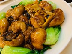 -九花山烤鸭店