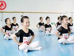 -西安小天鹅艺术团(曲江Alice店)