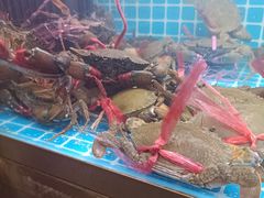 -徐记小怪兽肉蟹煲店(哈西万达金街店)