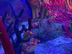 -沈阳海洋探索中心