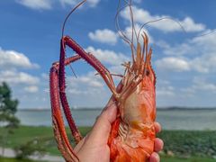 -七的湖·晚芳亭·阳澄湖农家菜·大闸蟹(莲花岛店)