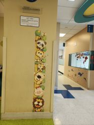 -杭州贝瑞斯美华妇儿医院·早孕·产检·儿科