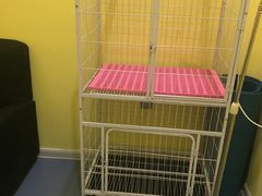 -瑞鹏宠物医院·爱宠堂·骨外专科(西荷分院)