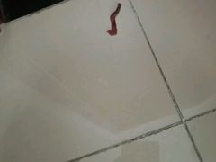 -全心全意连锁动物医院(加州店)