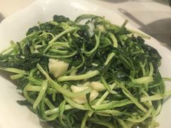-桃园酒店