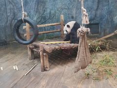 -深圳野生动物园