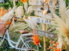 -HERRE·FARM 赫尔露营农场·团建聚会包场