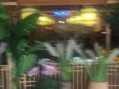 -探窝·竹笙椰子鸡(杨箕店)