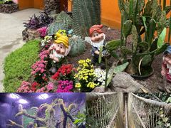 -正佳雨林生态植物园