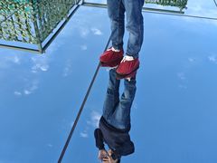 -黄海国家森林公园