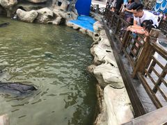 -华夏文旅海洋公园