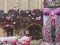 -青岛方特梦幻王国