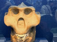 -国家自然博物馆