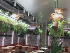 -老乡鸡(上海白玉兰广场店)
