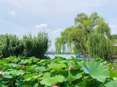-济南大明湖景区