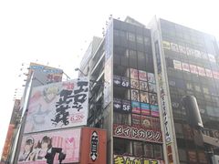 -秋叶原电器街