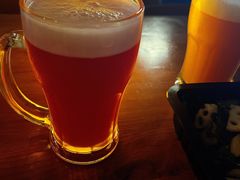 -猫员外精酿啤酒馆(国速荟店)