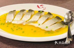 Freshwater Shad Fish