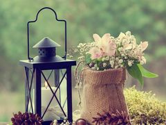 -比格比萨自助(万柳华联店)