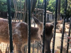 -无锡动物园·太湖欢乐园
