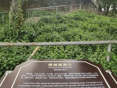 -苏州上方山国家森林公园