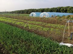 -广富林郊野公园