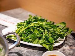 汕头西洋菜-张凯达·深海石斑鱼潮汕火锅(十五年品牌•虹桥天街店)