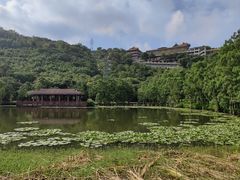 -顺峰山公园