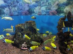 -海合安成都极地海洋公园