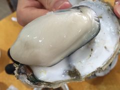 -蚝专家(北滘店)