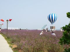 -渔岛海洋度假区