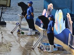 -秦皇岛乐岛海洋王国