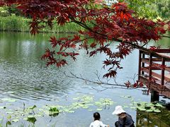-新江湾城公园