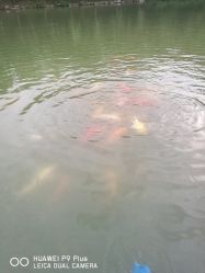 -珍珠泉水上世界