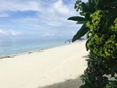 -马达京岛