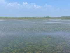 -野鸭湖国家湿地公园