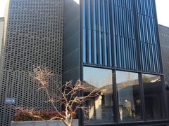 -雅达·阳羡溪山小镇中心