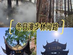 -东湖落雁景区