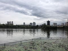 -迎泽公园