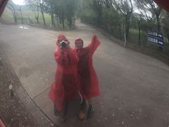 -泰安地下龙宫景区