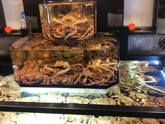 -蟹道乐(道顿堀本店)