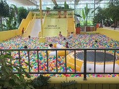 -南宫五洲植物乐园