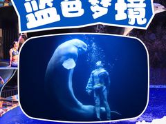 -大连圣亚海洋世界