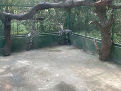 -宁波野生动物园