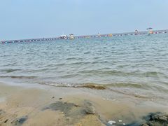 -碧海金沙