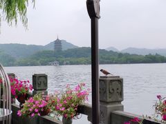 -杭州西湖柳莺里酒店