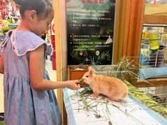 -宠物兔专门店(天丰利市场店)